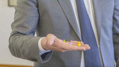 Bild: Jason Tschepljakow/dpa
Kleine Entenfiguren werden im Ulmer Rathaus versteckt.