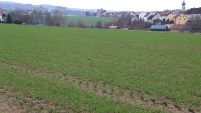 Bild: prh
Noch ist es grün auf dem Baugebiet "Schloßleite". Bald werden jedoch die Baumaschinen zur Erschließung des neuen Baugebiets anrollen.