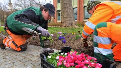 Bild: Pressestelle Stadt Weiden/exb
Die Mitarbeiter der Stadtgärtnerei haben heuer etwas früher mit der Frühjahrsbepflanzung begonnen.