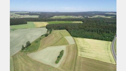 Bild: bey
In diesem Gebiet soll der Solarpark am Hart entstehen.