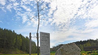 Archivbild: Gabi Schönberger
Diese Idylle sehen etliche Störnsteiner bedroht. Auf den Wiesen Richtung Floß haben sie daher ein Protestplakat gegen den Südost-Link aufgestellt.