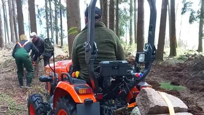 Bild: Hermann Schmid/exb
Zur Vorbereitung der Tannenaussaat wurde der Waldboden mit einem selbst konstruierten Pflug bearbeitet.