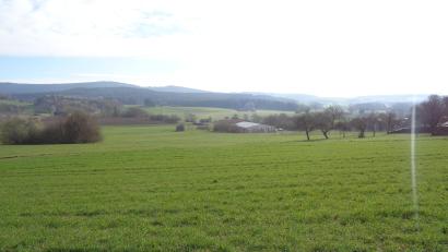 Bild: amö
Das neue Baugebiet "Sandbergl" liegt zwischen der Staatsstraße nach Schneeberg und der Frauenstraße Richtung Windhals.