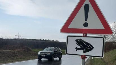 Bild: Heike Unger
Achtung, Krötenwanderung! Solche Schilder wie hier an der Kreisstraße AS4 zwischen Ursensollen und Oberhof, sollen die Verkehrsteilnehmer dazu bewegen, langsam zu fahren.