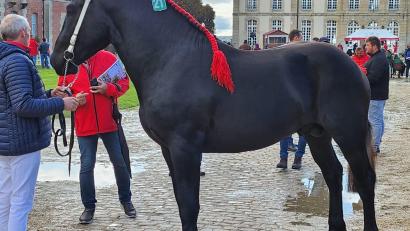 Bild: Privat Lang
Martin Lang mit Lucky in Frankreich.