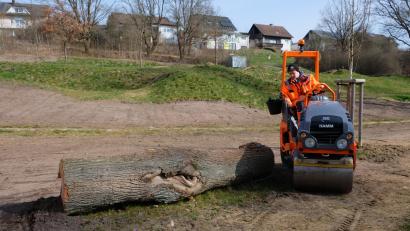 Bild: do
"Unordentliche" Flächen sollen sich vor dem Pumptruck-Rundkurs zu einer naturnahen und insektenfreundlichen Landschaft entwickeln. Zusätzlich schaffen alte Baumstämme je nach Zersetzungsgrad Eiablagen für verschiedene Käfersorten und Wildbienen. Um die Anlage und Pflege kümmert sich der städtische Bauhof.