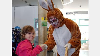 Archivbild: Stadtwerke Amberg, Daniel Wanninger/exb
Der Osterhase kommt wieder ins Kurfürstenbad.
