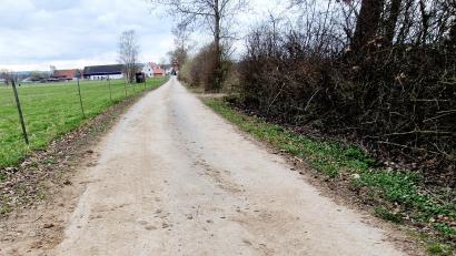 Bild: Thomas Dobler
Der Weg bei Asbach (Markt Schwarzenfeld) kann ein Stück des Oberpfälzer-Seenland-Radwegs aufnehmen.