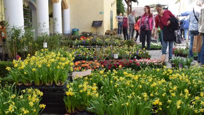 Bild: bnr
Eine große Auswahl an Blumen empfängt die Besucher auf dem Schlossgelände.