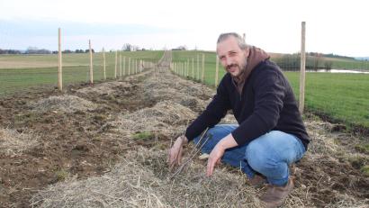 Bild: prh
Soweit das Auge reicht zieht sich die Hecke, die Bio-Landwirt Daniel Kunz gepflanzt hat. Sie ist ein positives Beispiel, wie Landwirtschaft und Naturschutz gemeinsam möglich sind.