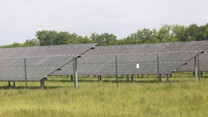 Symbolbild: Hirsch
Wenn ein Solarpark (hier ein Symbolbild) extensiv im Sinne der Artenvielfalt genutzt wird, braucht der Betreiber keine Ausgleichsflächen mehr bereitzustellen. Dies will der Investor bei der Freiflächenanlage bei Geiselhof (Gemeinde Stulln) umsetzen.