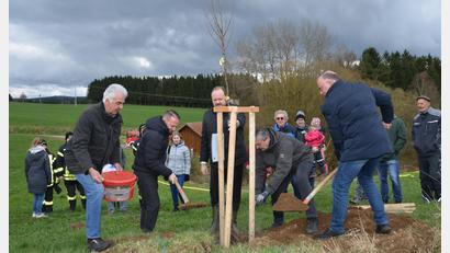 Bild: dob
Eifrig legen die Baumpaten selbst Hand an beim Naturtag in Kößing, der anlässlich des 900-jährigen Stadtjubiläums organisiert wurde. Josef Scherer (links) bringt noch Dünger in das Pflanzloch ein.