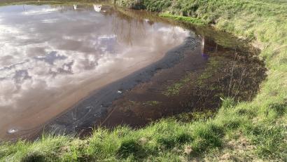 Bild: PI Burglengenfeld
Das Dunkle im Regenauffangbecken an der Kreisstraße bei Ponholz ist das Bitumen-Gemisch. 7200 Liter sind ausgelaufen.