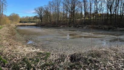 Bild: ihl
Diese Fischzuchtanlage samt Waldstreifen westlich von Guteneck wird die Heinz-Sielmann-Stiftung zu einem Biotop umbauen.