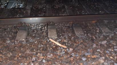 Bild: Bundespolizeiinspektion Waldmünchen
Die Holzleiter wurde völlig zerstört. Übrig geblieben sind Reste neben dem Bahngleis.