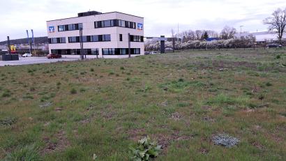 Bild: Hirsch
Auf diesem freien Grundstück neben dem Bankgebäude soll ein Ärztehaus mit Apotheke und Cafe entstehen. Investor ist die VR-Bank Regensburg-Schwandorf.