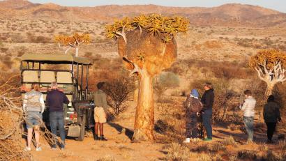 Bild: Andreas Drouve/dpa
Kurze Pause an einem Köcherbaum: Neben Tieren gib es auf Safari in der Provinz Nordkap auch typische Pflanzen zu bewundern.