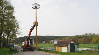 Bild: bl
Bauhof-Mitarbeiter Thomas Graf hat mit seinen Bagger die Hopfensäule mit dem Horst fest im Griff.