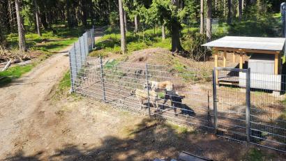 Bild: Wildpark Mehlmeisel/exb
Das neue Gehege für die Herdenschutzhunde im Wildpark Mehlmeisel.