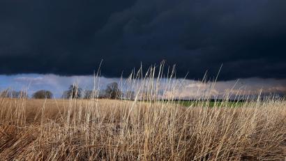 Bild: Karl-Josef Hildenbrand/dpa
Gewitterwolken ziehen über ein Feld: Das Wetter am Abend ist durchwachsen.