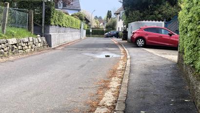 Bild: stg
Sanierungsbedarf ist in der Sudetenlandstraße zweifellos geboten. Und auch an der Treppenanlage, die auf der linken Seite zwischen Granitsteinmauer und Betonmauer versteckt liegt, sehen Stadträte Handlungsbedarf.