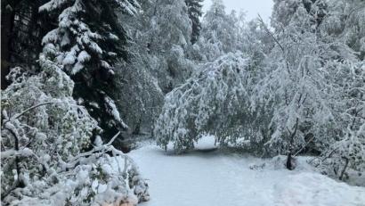Screenshot: facebook.com/nationalpark.bayerischer.wald
Wegen des Schnees im April 2024 sind Teile des Nationalparks im Bayerischen Wald gesperrt.