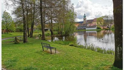 Bild: Portner
Wiese und Bänke am Oberviechtacher Marktweiher sind im Sommer ein beliebter Treffpunkt. Der Stadtrat will hier das legale Kiffen nicht zulassen.