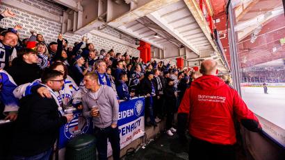 Bild: Werner Moller
Etwa 500 Anhänger unterstützten die Blue Devils Weiden beim vierten Play-off-Finale in der ARS-Arena bei den Hannover Scorpions.