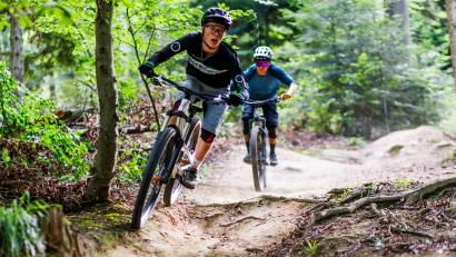 Symbolbild: Philipp von Ditfurth/dpa
Auf welchen Wegen dürfen Mountainbiker noch fahren, wenn ein finaler Entwurf des neuen Waldgesetzes steht?