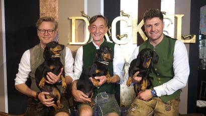 Bild: Claudia Erdenreich
Oliver Storz (v.l.) und Seppi Küblbeck sind die Erfinder und Gründer des Dackelmuseums in Regensburg. Mittlerweile ist mit Moritz Hickl auch ein dritter Mitinhaber an Bord. Die heimlichen Stars bleiben aber ohnehin die Dackel: Seppi, Moni und Blümchen.