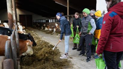 Bild: kaz
Über den Beruf der Landwirtin informieren sich 15 Jugendliche auf dem Hof von Stefanie Hösl in Pilmersreuth an der Straße. Wie viel Kraft wird beim Füttern der Kühe benötigt? Paula Söllner probiert es aus.