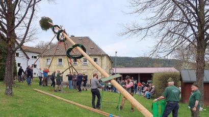 Archivbild: bsc
Nur mit Schwalben und Muskelkraft wurde im Ortsteil Frauenreuth der Gemeinde Friedenfels der Maibaum aufgestellt.