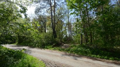 Bild: bey
Oberhalb des "Gießhübels", wo schon jetzt eine kleine Lichtung im Wald sichtbar ist, soll der neue Hochbehälter errichtet werden.
