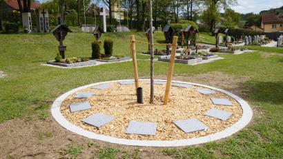 Bild: wel
Mit dem Urnenbaumfeld, das für zwölf Urnengräber vorgesehen ist, und den seit bereits zehn Jahre bestehenden Urnenstelen (links im Hintergrund) ist der Friedhof für die Zukunft gut ausgestattet