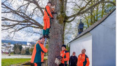 Bild: Martin Hertel/exb
Unter Anleitung von Ausbilder Ewald Vogel von den Bayerischen Staatsforsten montieren die Azubis Jonathan Schön und Felix Haberkorn am Hammerkirchl bei Mehlmeisel Vogelnistkästen. Über die gelungene Artenschutz-Maßnahme freuen sich Kirchenpfleger Manfred Prechtl und Winfried Pfahler, der Leiter des Forstbetriebs Fichtelberg (von links nach rechts).
