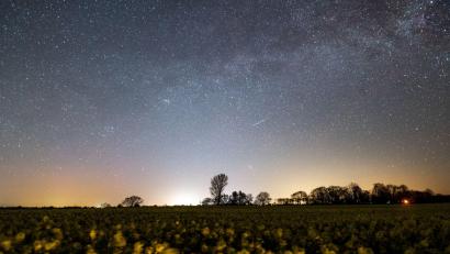 Bild: Daniel Reinhardt/dpa
Der Sternenhimmel leuchtet über einem Rapsfeld. Auch im Mai lohnt sich ein Blick ins Firmament (Archivbild).