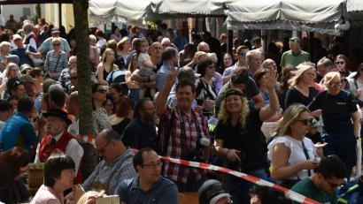 Bild: hcz
Zahlreiche Vereine und Bürger begleiteten die Maibaumaufstellung.