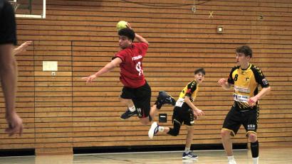 Bild: Weigl
Die Handballer des HC Sulzbach spielen um den Bayernligasufstieg.