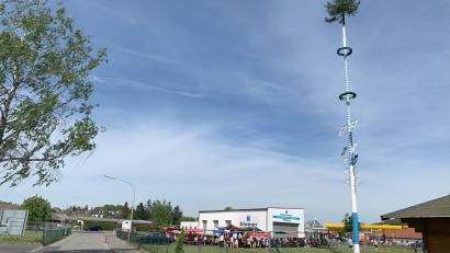 Bild: adj
Der neue Maibaum in Altenstadt/WN.