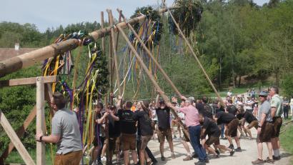 Bild: Hirsch
Im Freilandmuseum in Neusath wird am 1. Mai der 28 Meter hohe Baum in die Höhe gehievt.