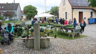 Bild: bjp
Mehrmals muss Ingrid Schmid (Vierte von rechts, mit Handy) vom Dorfladenbeirat nachbestellen, um die große Nachfrage beim Schwarzenbacher Blumenmarkt zu befriedigen.