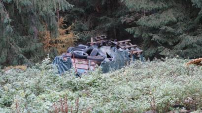 Bild: exb
Unter anderem gehört dieser vollgeladene Wagen zu den Ablagerungen im Wald bei Ehenfeld.