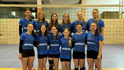 Bild: Rackl
Die Volleyballerinnen des TV Vohenstrauß III spielen nächste Saison in der Kreisliga.