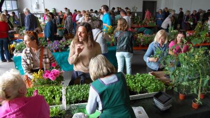 Bild: grm
Zahlreiche Gartenfreunde wollen sich die Schmuckstücke bei der 23. Pflanzenbörse der Siedlergemeinschaft Irchenrieth ansehen.
