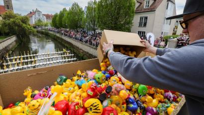Bild: Wolfgang Steinbacher
9000 bunte und teils sehr aufwendig verzierte Enten sind am Sonntag zum Entenrennen angetreten.