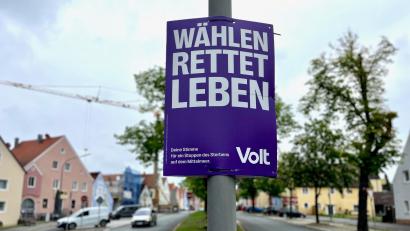 Bild: Gabi Schönberger
Noch hängt nur vereinzelt Parteienwerbung zur Europawahl in Neustadt. Damit sie nicht überhand nimmt, hat der Stadtrat die Plakatierungsverordnung überarbeitet.