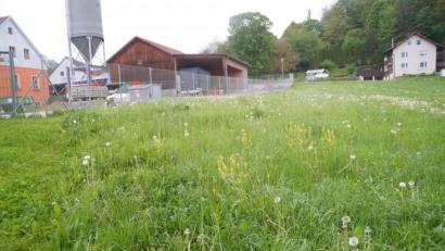 Bild: wel
Auf dem Areal neben dem Recyclingshof ist die Errichtung der Energiezentrale "Nahwärme Thanstein" geplant