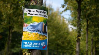 Symbolbild: Arno Burgi/dpa
Hier ein AfD-Wahlplakat aus dem Jahr 2017. In Degelsdorf bei Auerbach wurde nun ein AfD-Plakat von Jugendlichen beschädigt - die Polizei sucht nach Zeugen.