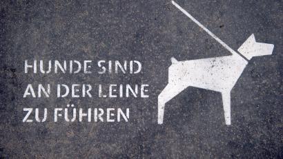 Symbolbild: Daniel Naupold
Beißvorfälle mit Hunden haben in Weiden 2023 leicht zugenommen.