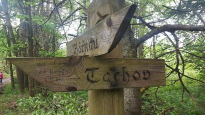 Archivbild: Tanja Fichtner
Wie ein Kreuz steht der Wegweiser im deutsch-tschechischen Grenzgebiet. Es könnte auch an die vielen Menschen erinnern, die hier auf der Flucht getötet wurden.